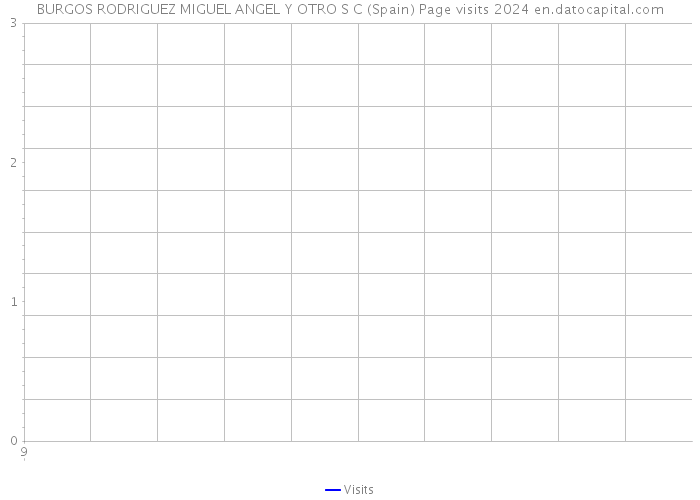 BURGOS RODRIGUEZ MIGUEL ANGEL Y OTRO S C (Spain) Page visits 2024 
