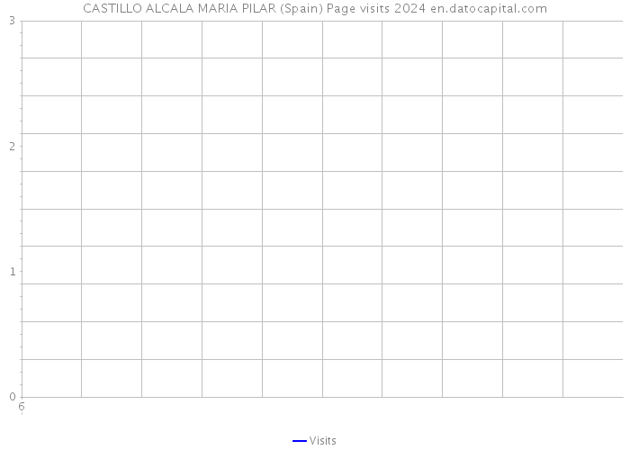 CASTILLO ALCALA MARIA PILAR (Spain) Page visits 2024 