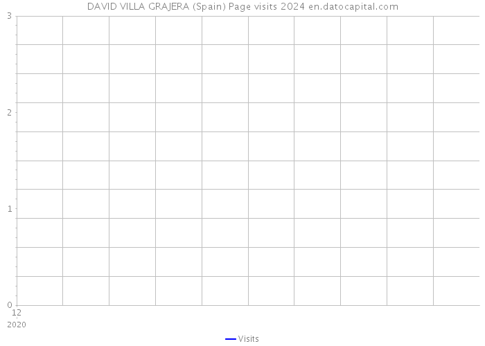 DAVID VILLA GRAJERA (Spain) Page visits 2024 