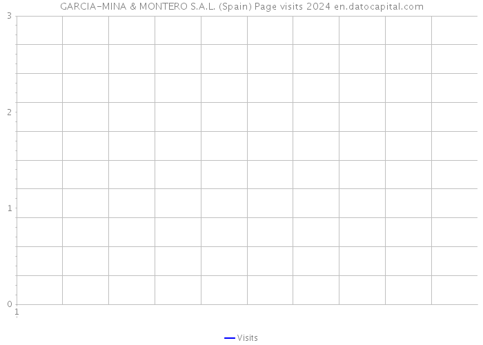 GARCIA-MINA & MONTERO S.A.L. (Spain) Page visits 2024 