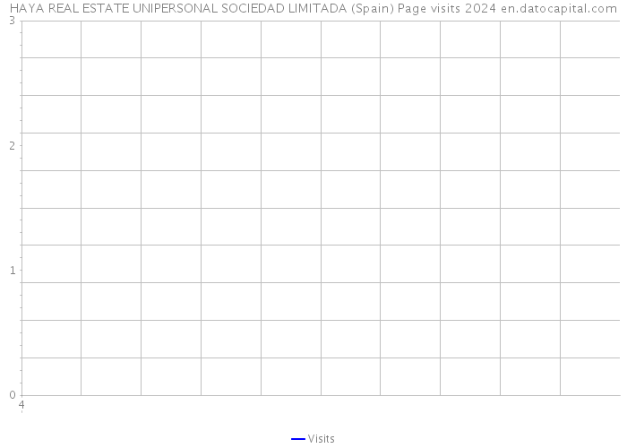 HAYA REAL ESTATE UNIPERSONAL SOCIEDAD LIMITADA (Spain) Page visits 2024 