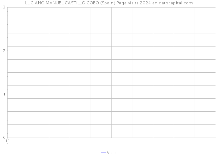 LUCIANO MANUEL CASTILLO COBO (Spain) Page visits 2024 