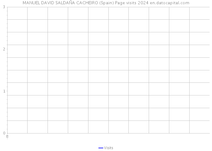 MANUEL DAVID SALDAÑA CACHEIRO (Spain) Page visits 2024 