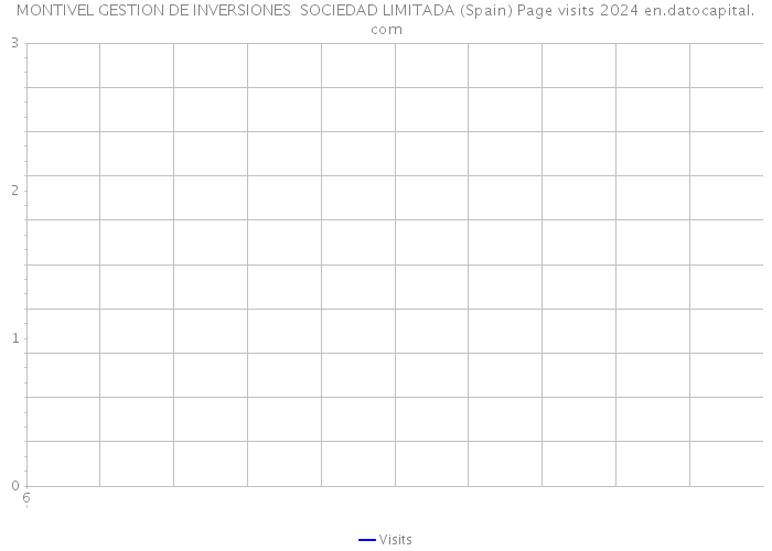MONTIVEL GESTION DE INVERSIONES SOCIEDAD LIMITADA (Spain) Page visits 2024 