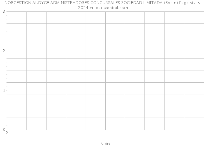 NORGESTION AUDYGE ADMINISTRADORES CONCURSALES SOCIEDAD LIMITADA (Spain) Page visits 2024 