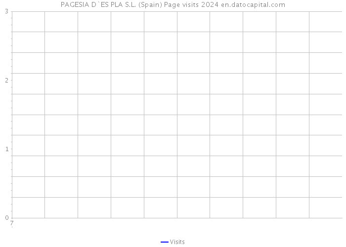 PAGESIA D`ES PLA S.L. (Spain) Page visits 2024 