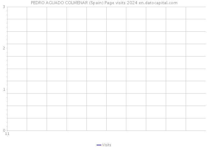 PEDRO AGUADO COLMENAR (Spain) Page visits 2024 