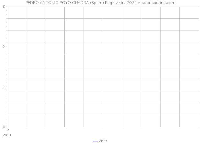 PEDRO ANTONIO POYO CUADRA (Spain) Page visits 2024 