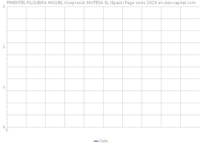 PIMENTEL FILGUEIRA MIGUEL Vicepresid: MUTESA SL (Spain) Page visits 2024 