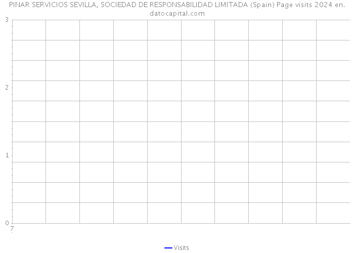 PINAR SERVICIOS SEVILLA, SOCIEDAD DE RESPONSABILIDAD LIMITADA (Spain) Page visits 2024 