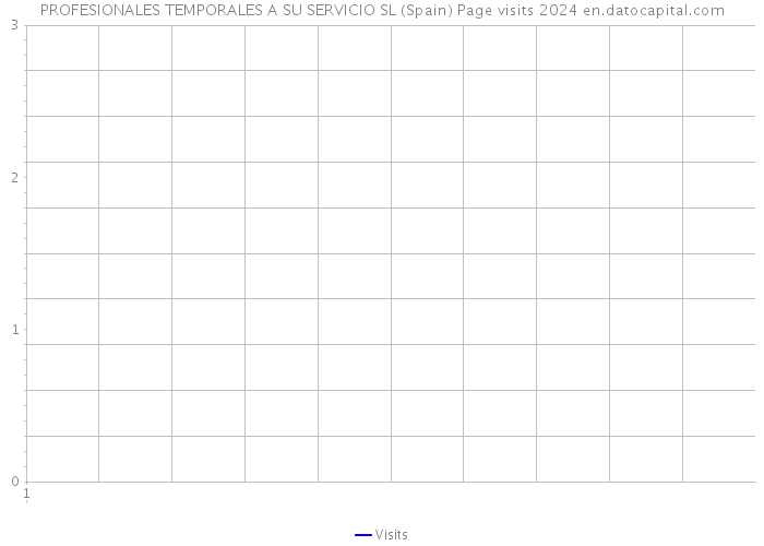 PROFESIONALES TEMPORALES A SU SERVICIO SL (Spain) Page visits 2024 