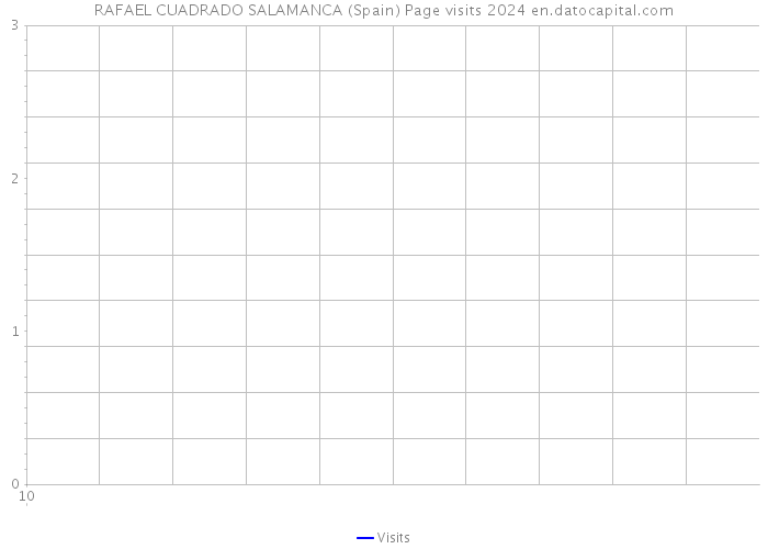 RAFAEL CUADRADO SALAMANCA (Spain) Page visits 2024 