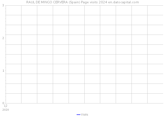 RAUL DE MINGO CERVERA (Spain) Page visits 2024 