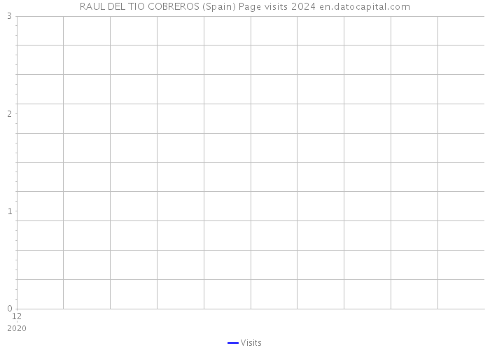 RAUL DEL TIO COBREROS (Spain) Page visits 2024 