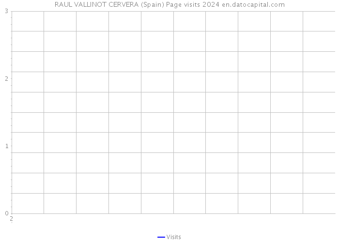 RAUL VALLINOT CERVERA (Spain) Page visits 2024 