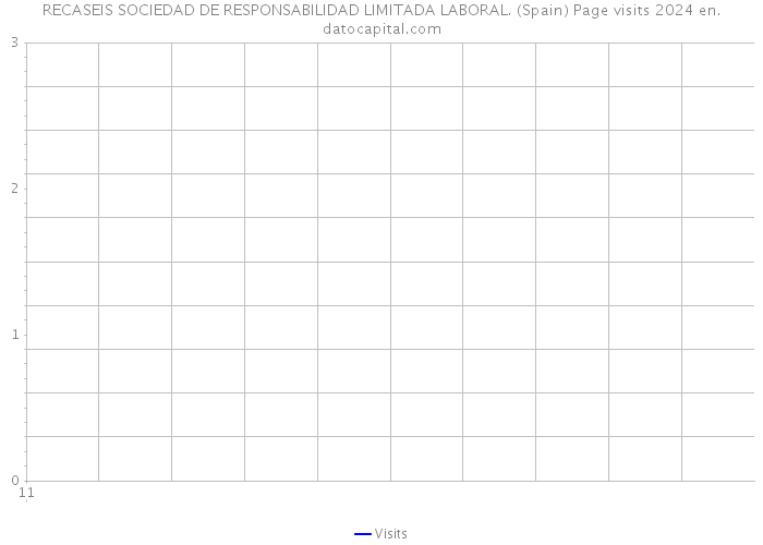 RECASEIS SOCIEDAD DE RESPONSABILIDAD LIMITADA LABORAL. (Spain) Page visits 2024 