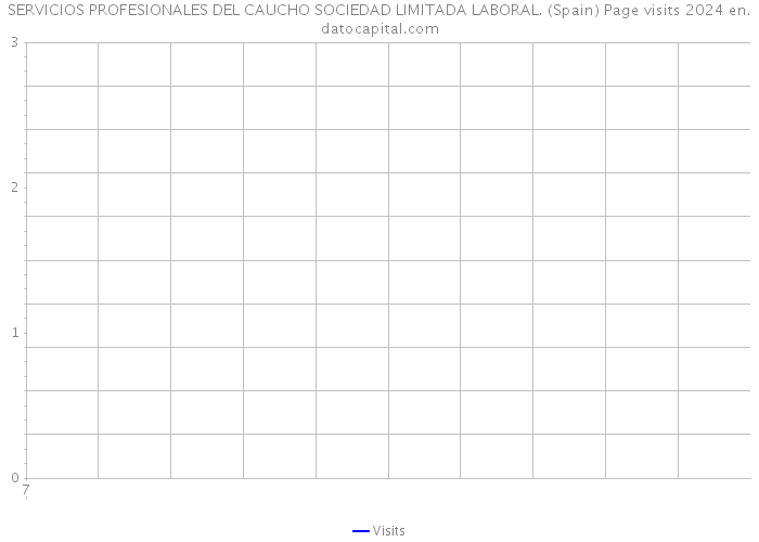 SERVICIOS PROFESIONALES DEL CAUCHO SOCIEDAD LIMITADA LABORAL. (Spain) Page visits 2024 
