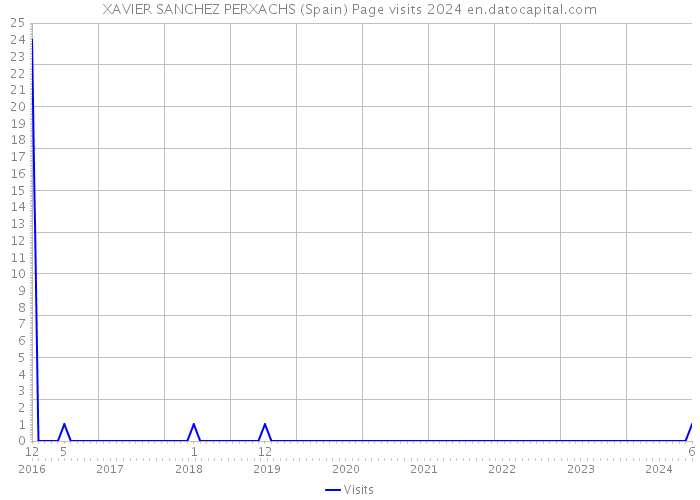 XAVIER SANCHEZ PERXACHS (Spain) Page visits 2024 