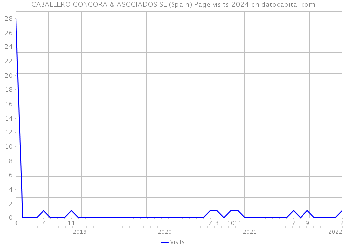 CABALLERO GONGORA & ASOCIADOS SL (Spain) Page visits 2024 