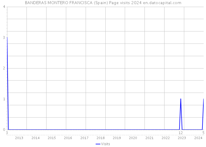 BANDERAS MONTERO FRANCISCA (Spain) Page visits 2024 