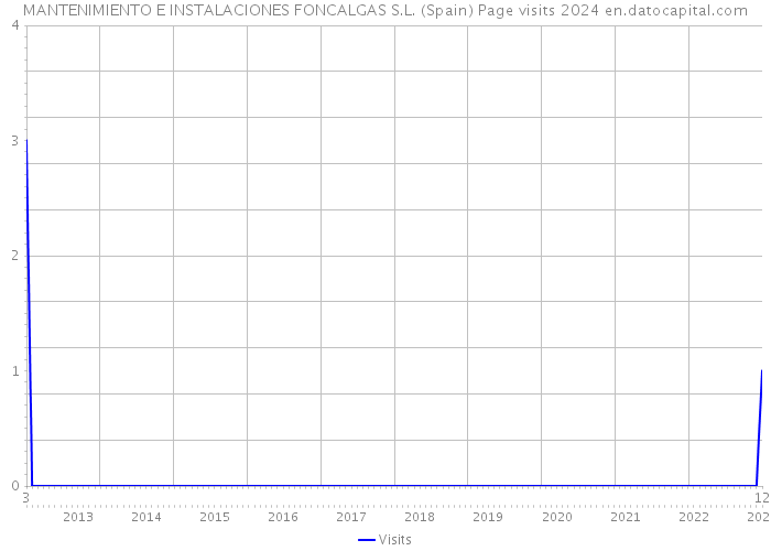 MANTENIMIENTO E INSTALACIONES FONCALGAS S.L. (Spain) Page visits 2024 