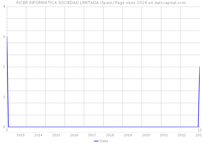 RICER INFORMATICA SOCIEDAD LIMITADA (Spain) Page visits 2024 