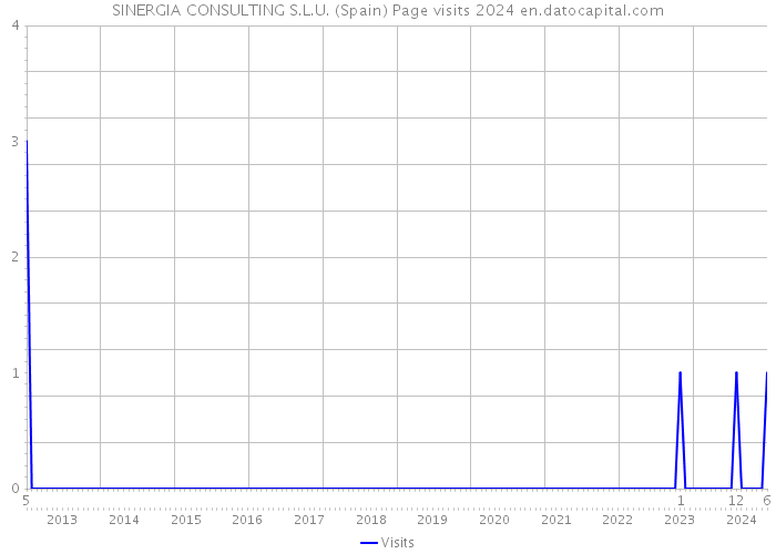 SINERGIA CONSULTING S.L.U. (Spain) Page visits 2024 