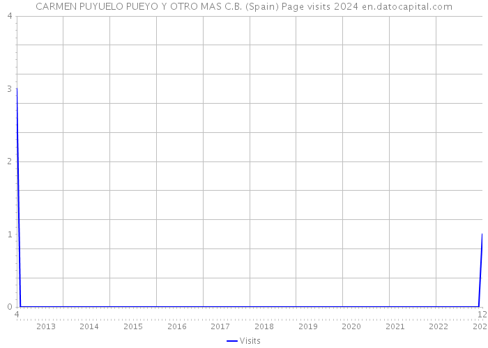CARMEN PUYUELO PUEYO Y OTRO MAS C.B. (Spain) Page visits 2024 
