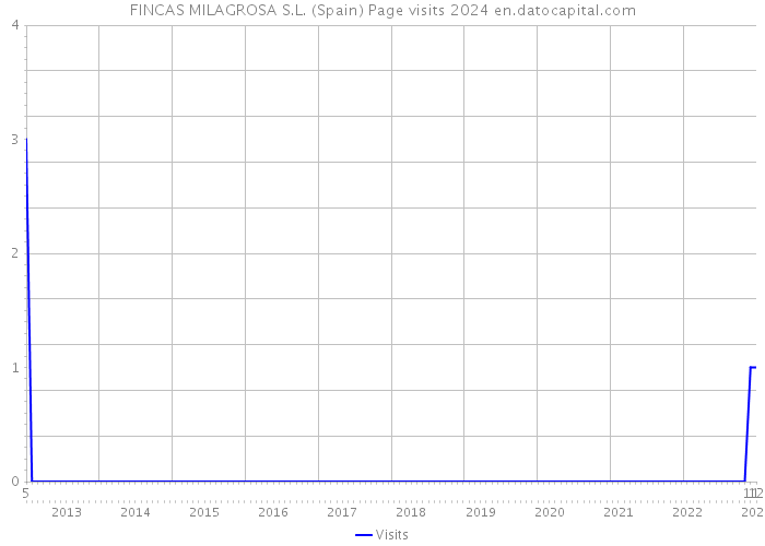 FINCAS MILAGROSA S.L. (Spain) Page visits 2024 