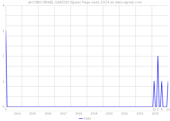 JACOBO ISRAEL GARZON (Spain) Page visits 2024 