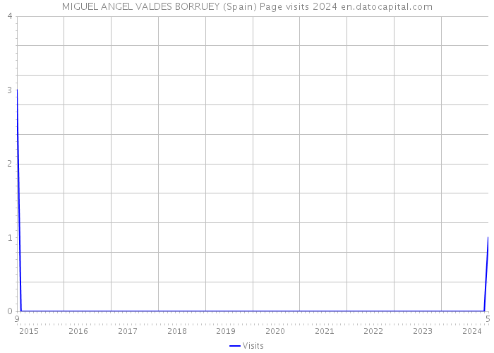 MIGUEL ANGEL VALDES BORRUEY (Spain) Page visits 2024 