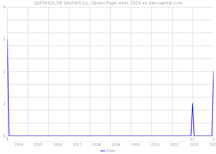 QUITASOL DE SALINAS S.L. (Spain) Page visits 2024 