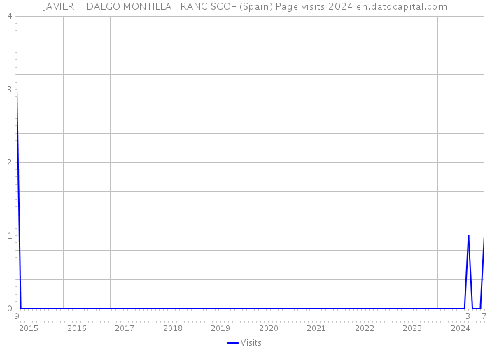 JAVIER HIDALGO MONTILLA FRANCISCO- (Spain) Page visits 2024 