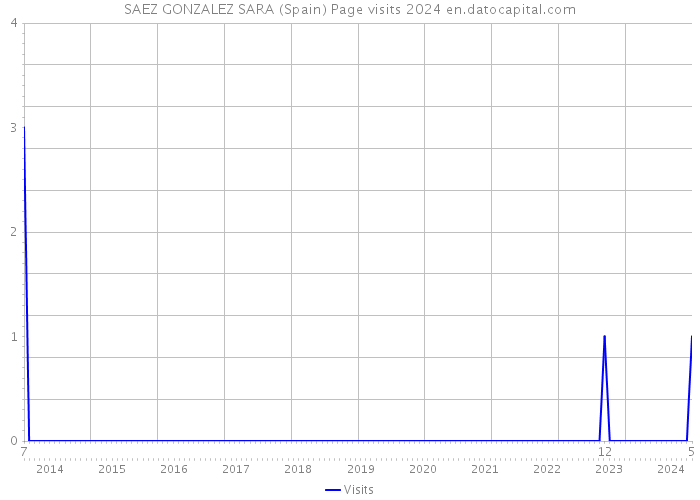 SAEZ GONZALEZ SARA (Spain) Page visits 2024 