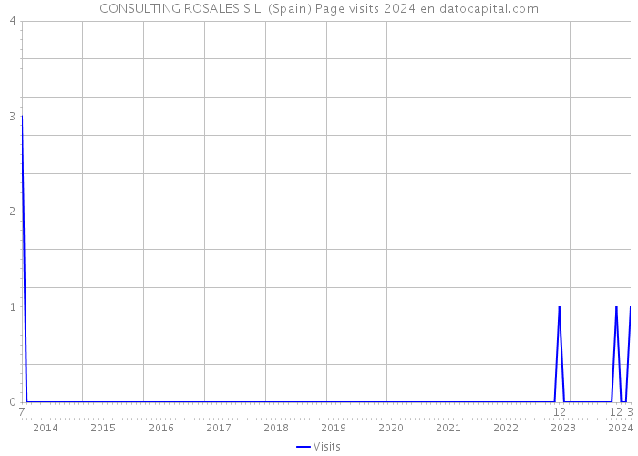 CONSULTING ROSALES S.L. (Spain) Page visits 2024 