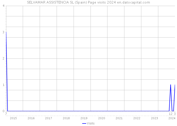 SELVAMAR ASSISTENCIA SL (Spain) Page visits 2024 