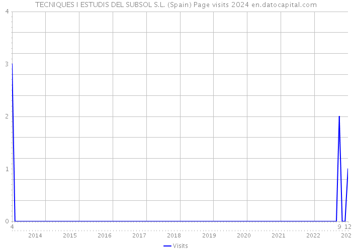 TECNIQUES I ESTUDIS DEL SUBSOL S.L. (Spain) Page visits 2024 