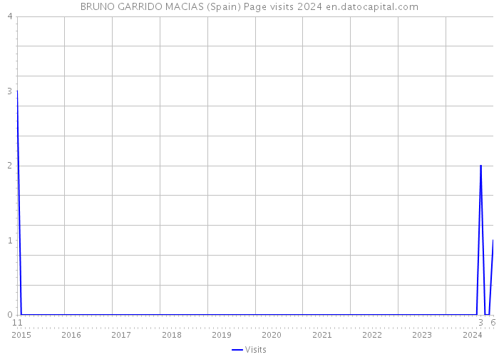 BRUNO GARRIDO MACIAS (Spain) Page visits 2024 