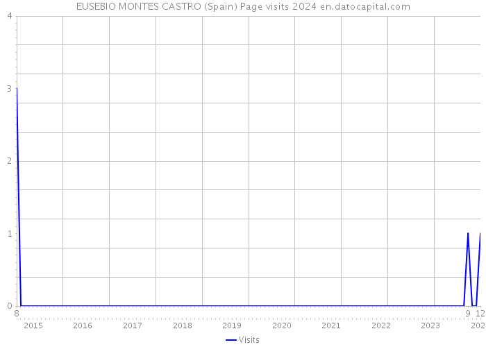 EUSEBIO MONTES CASTRO (Spain) Page visits 2024 