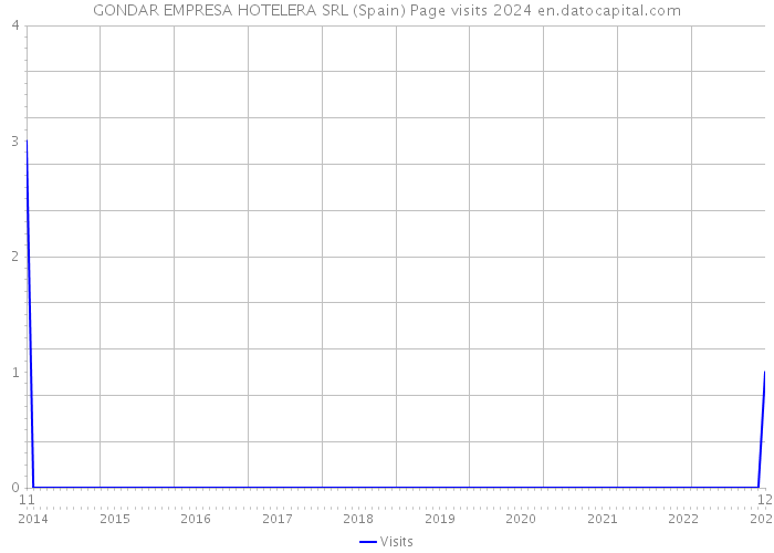 GONDAR EMPRESA HOTELERA SRL (Spain) Page visits 2024 