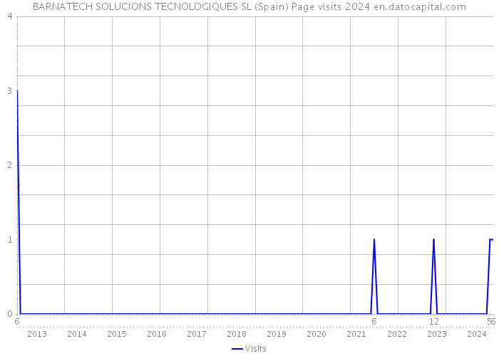 BARNATECH SOLUCIONS TECNOLOGIQUES SL (Spain) Page visits 2024 