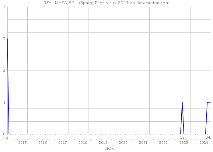 REAL MASAJE SL. (Spain) Page visits 2024 