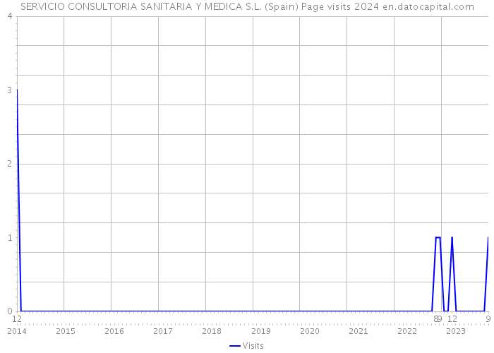 SERVICIO CONSULTORIA SANITARIA Y MEDICA S.L. (Spain) Page visits 2024 