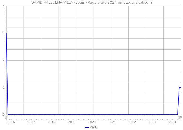 DAVID VALBUENA VILLA (Spain) Page visits 2024 