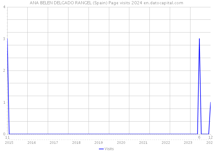 ANA BELEN DELGADO RANGEL (Spain) Page visits 2024 