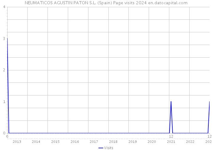 NEUMATICOS AGUSTIN PATON S.L. (Spain) Page visits 2024 
