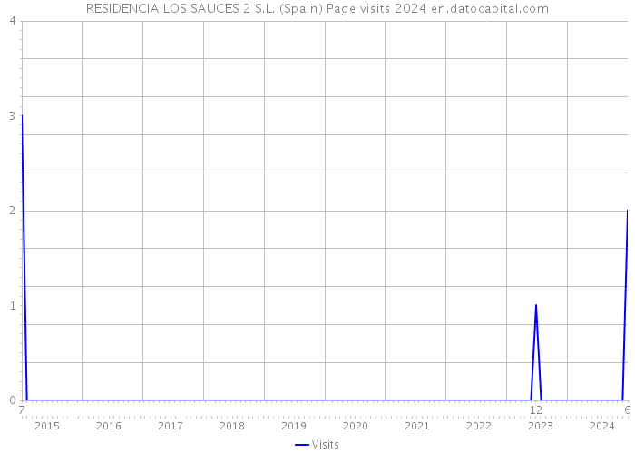 RESIDENCIA LOS SAUCES 2 S.L. (Spain) Page visits 2024 