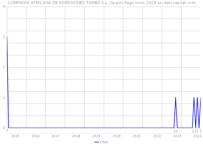COMPANIA AFRICANA DE INVERSIONES TAMBO S.L. (Spain) Page visits 2024 