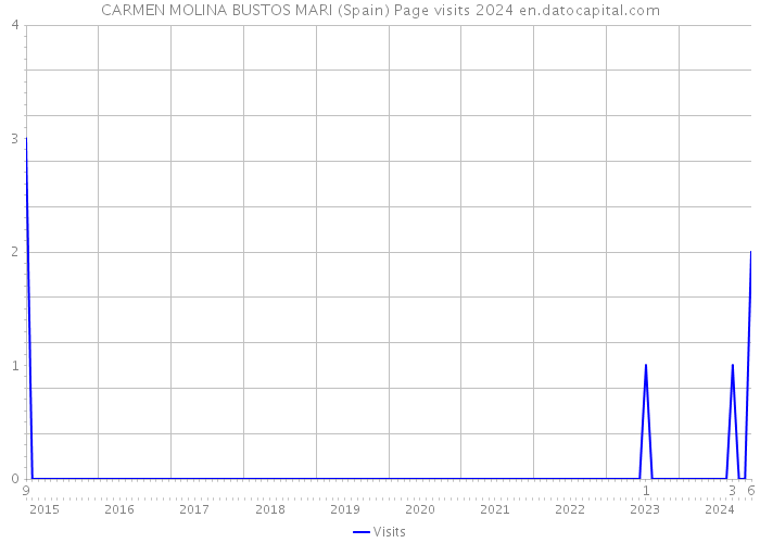 CARMEN MOLINA BUSTOS MARI (Spain) Page visits 2024 