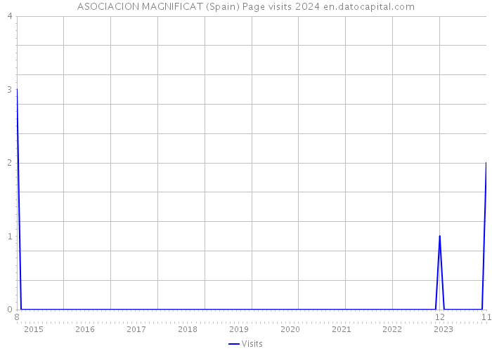 ASOCIACION MAGNIFICAT (Spain) Page visits 2024 